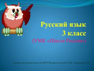 Урок русского языка 3 класс по теме Имя существительное