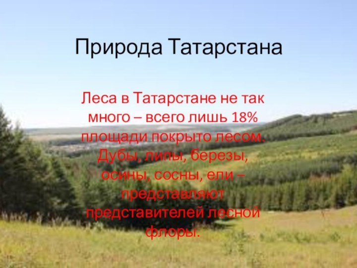 Природа ТатарстанаЛеса в Татарстане не так много – всего лишь 18% площади