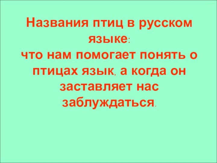 Названия птиц в русском языке: что нам помогает понять о птицах язык,