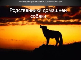 Презентация по биологии на тему Родственники домашней собаки (7 класс)