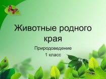 Презентация к уроку по окружающему миру на тему Животные родного края 1 класс