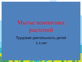 Презентация трудовой деятельности детей младшей группы: Мытье комнатных растений