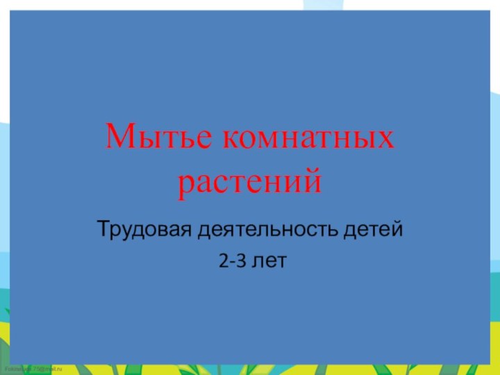 Мытье комнатных растенийТрудовая деятельность детей 2-3 лет