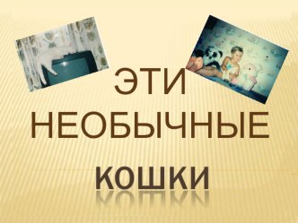 Презентация Эти необычные кошки