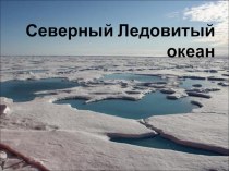 Северный Ледовитый океан, презентация 7 класс