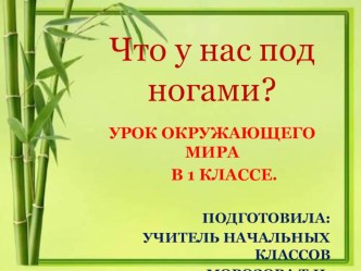 Презентация к уроку окружающего мира в 1 классе Что у нас под ногами?