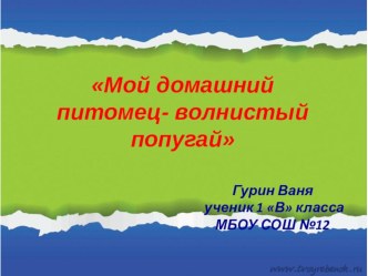 Проект Гурина Ивана по окружающему миру на тему Кто еще у нас живет (1 класс)