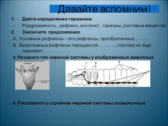 Презентация к уроку Бесполое размножение (6 класс)