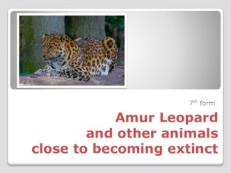Презентация к уроку английского языка в 7 классе Amur Leopard and Other Animals Close to Becoming Extinct