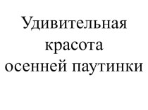 Презентация по теме Паутинки