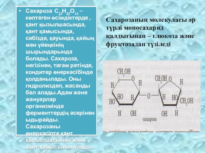 Третий экзамен сахарозы. Структурное звено сахарозы. Сахароза. Глюкоза и сахароза. Сахароза формула.