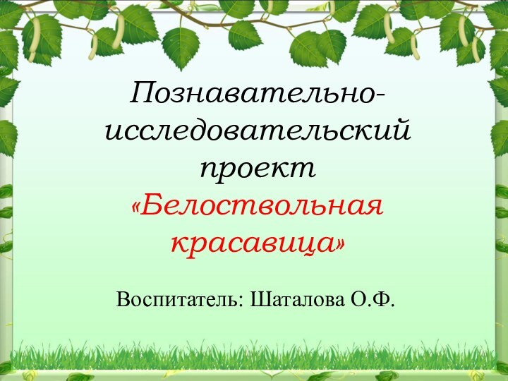 Познавательно-исследовательский проект «Белоствольная красавица» Воспитатель: Шаталова О.Ф.