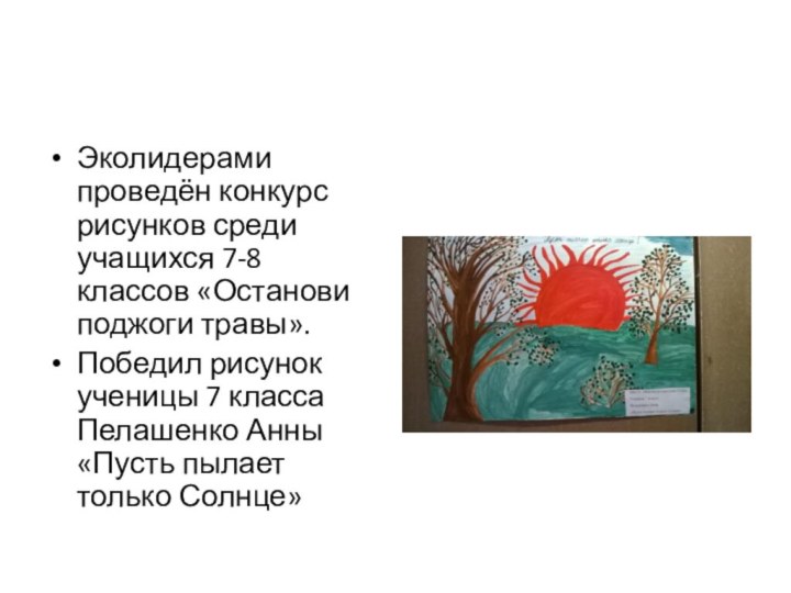 Эколидерами проведён конкурс рисунков среди учащихся 7-8 классов «Останови поджоги травы».Победил рисунок