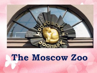 Презентация по английскому языку Московский зоопарк