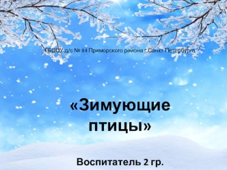 Презентация Зимующие птицы (для детей 3-4 лет)