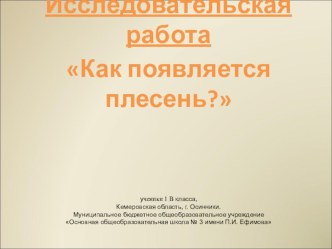 Презентация к исследовательской работе Что такое плесень