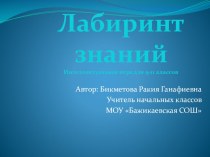 Презентация по литературе для 9-11 классов Лабиринт знаний