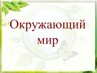 Презентация к уроку окружающего мира на тему Почему мы не будем рвать цветы и ловить бабочек (1 класс)