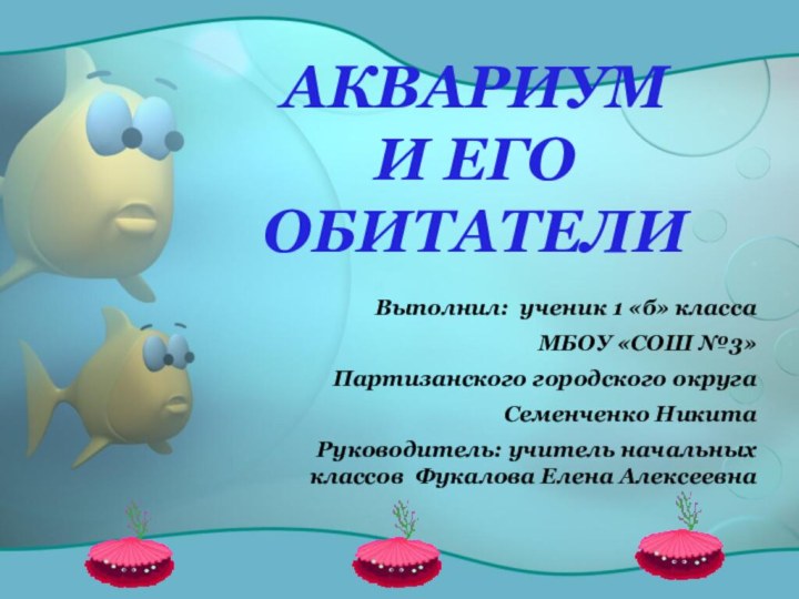АКВАРИУМ  И ЕГО ОБИТАТЕЛИВыполнил: ученик 1 «б» класса МБОУ «СОШ №3»