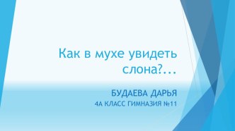 Исследовательская работа Кого лучше выбрать собаку или кошку?