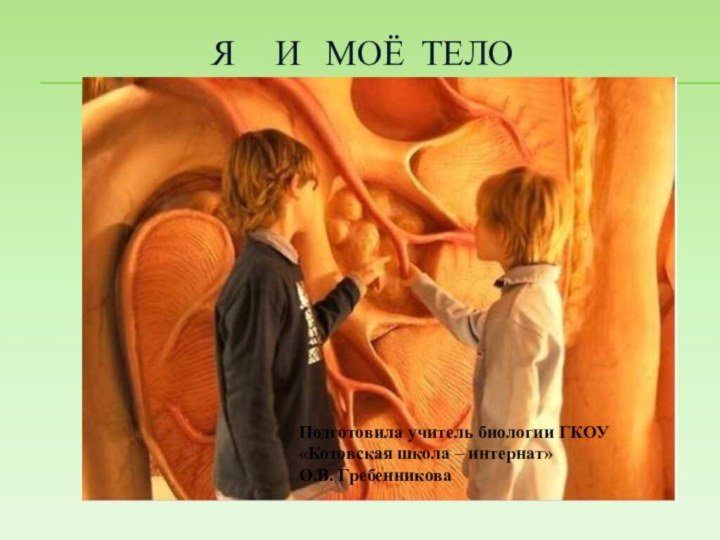 Я   И  МОЁ ТЕЛОПодготовила учитель биологии ГКОУ «Котовская школа – интернат» О.В. Гребенникова
