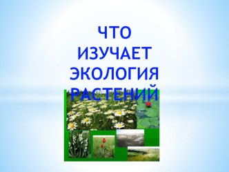 Презентация по экологии на тему: Что изучает экология растений 6 класс