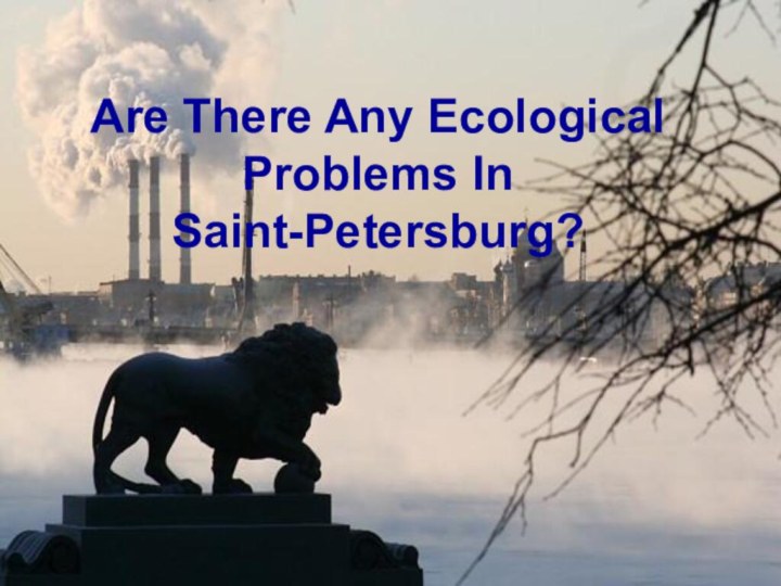 Are There Any Ecological Problems In  Saint-Petersburg?