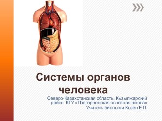 Презентация системы органов человека