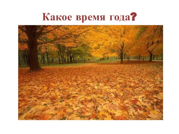 Какое время года?