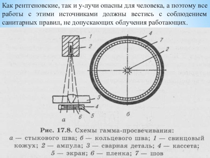 Как рентгеновские, так и у-лучи опасны для человека, а поэтому все работы