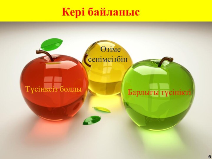 Кері байланысТүсінксіз болдыБарлығы түсінікті   Өзіме     сенімсізбін