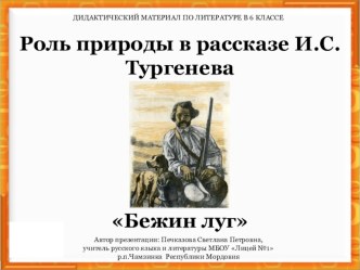 Роль природы в рассказе И.С.Тургенева Бежин луг (6 класс)