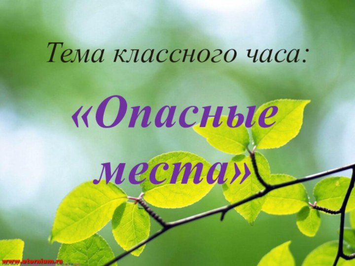 Тема классного часа:«Опасные места»