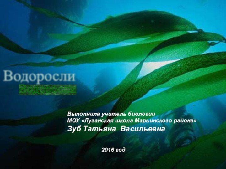 Водоросли Выполнила учитель биологии МОУ «Луганская школа Марьинского района»Зуб Татьяна Васильевна