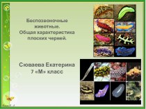 Презентация по биологии на тему Беспозвоночные животные. Общая характеристика плоских червей (7 класс)