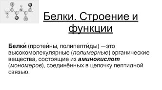 Презентация к уроку биологии по теме: Белки и Нуклеиновые кислоты