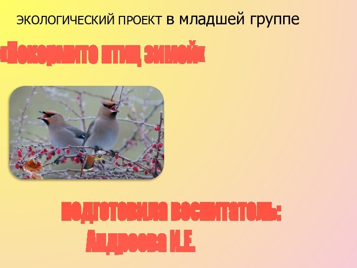 ЭКОЛОГИЧЕСКИЙ ПРОЕКТ в младшей группе«Покормите птиц зимой«