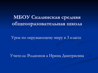 Урок-путешествие: Золотое кольцо России. Презентация1