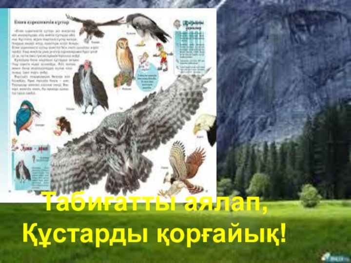 Табиғатты аялап, Құстарды қорғайық!