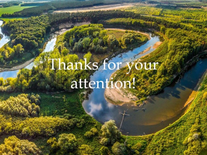 Thanks for your attention!