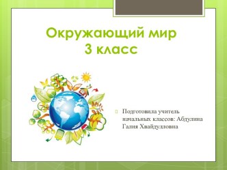 Презентация по окружающему миру на тему Разнообразие растений (3класс)