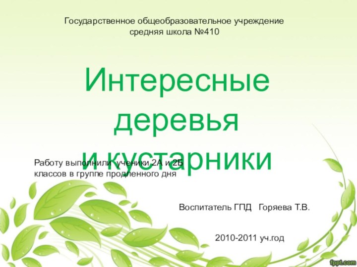 Интересные деревья и кустарникиРаботу выполнили ученики 2А и 2Б классов в группе