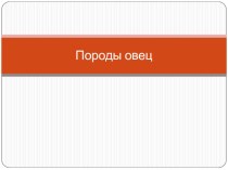 Породы овец