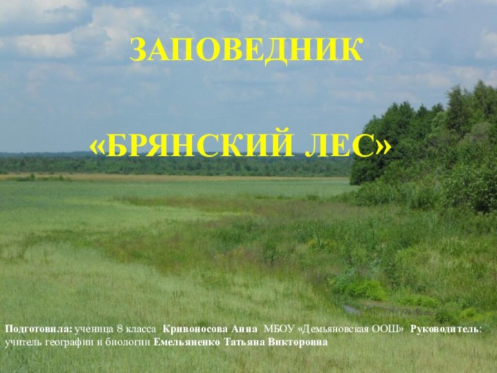 ЗАПОВЕДНИК «Брянский лес » ЗАПОВЕДНИК