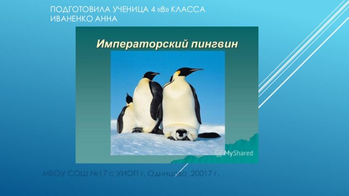 Подготовила ученица 4 «в» класса  Иваненко АннаМБОУ СОШ №17 с УИОП г. Одинцово ,20017 г.