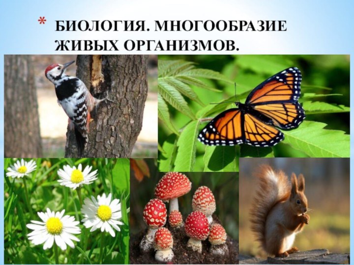 БИОЛОГИЯ. МНОГООБРАЗИЕ ЖИВЫХ ОРГАНИЗМОВ.