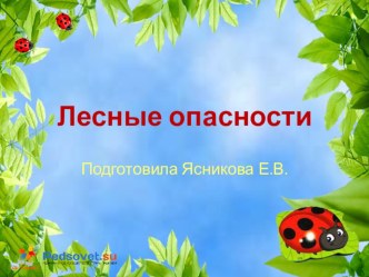 Презентация по окружающему миру Лесные опасности