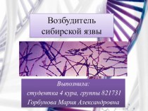 Презентация по микробиологии: Возбудитель сибирской язвы (высшая школа)