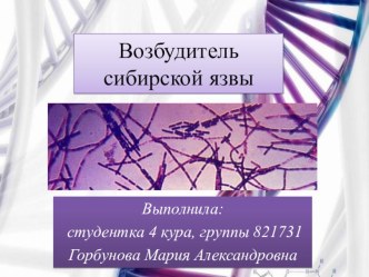 Презентация по микробиологии: Возбудитель сибирской язвы (высшая школа)