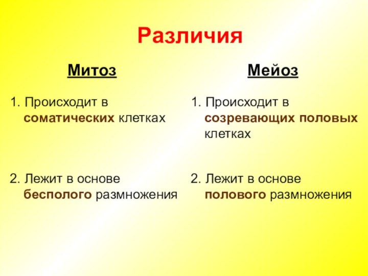 Различия митоза и мейоза. Митоз и мейоз 10 класс биология. Биология 9 класс митоз и мейоз. Митоз и мейоз 6 класс биология.